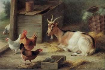 unknow artist poultry  162 China oil painting art